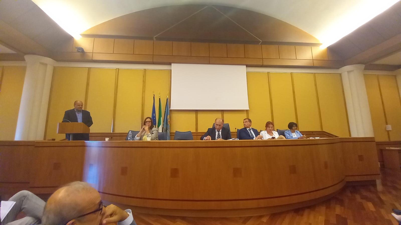 Audizione in Regione, il Presidente De Angelis: «Consorzio fondamentale per lo sviluppo»